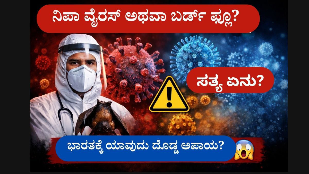 ನಿಪಾ ವೈರಸ್ vs ಬರ್ಡ್ ಫ್ಲೂ