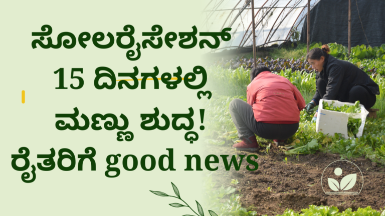 ಸೋಲರೈಸೇಶನ್