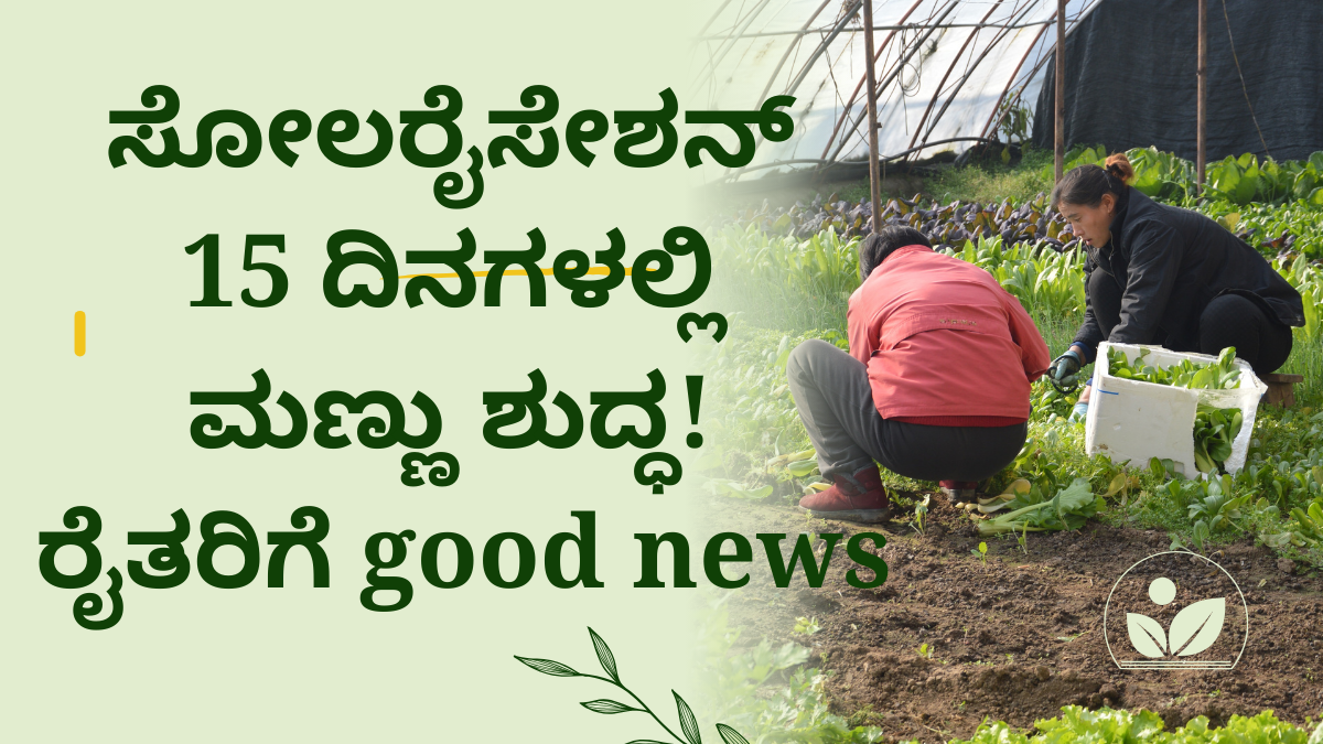 ಸೋಲರೈಸೇಶನ್