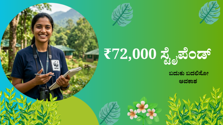 WWF BRIDGE Paid Summer Internship 2026