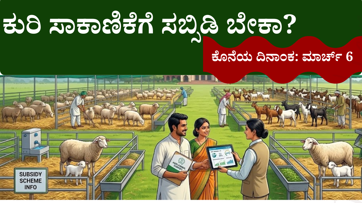 Sheep And Goat Farming